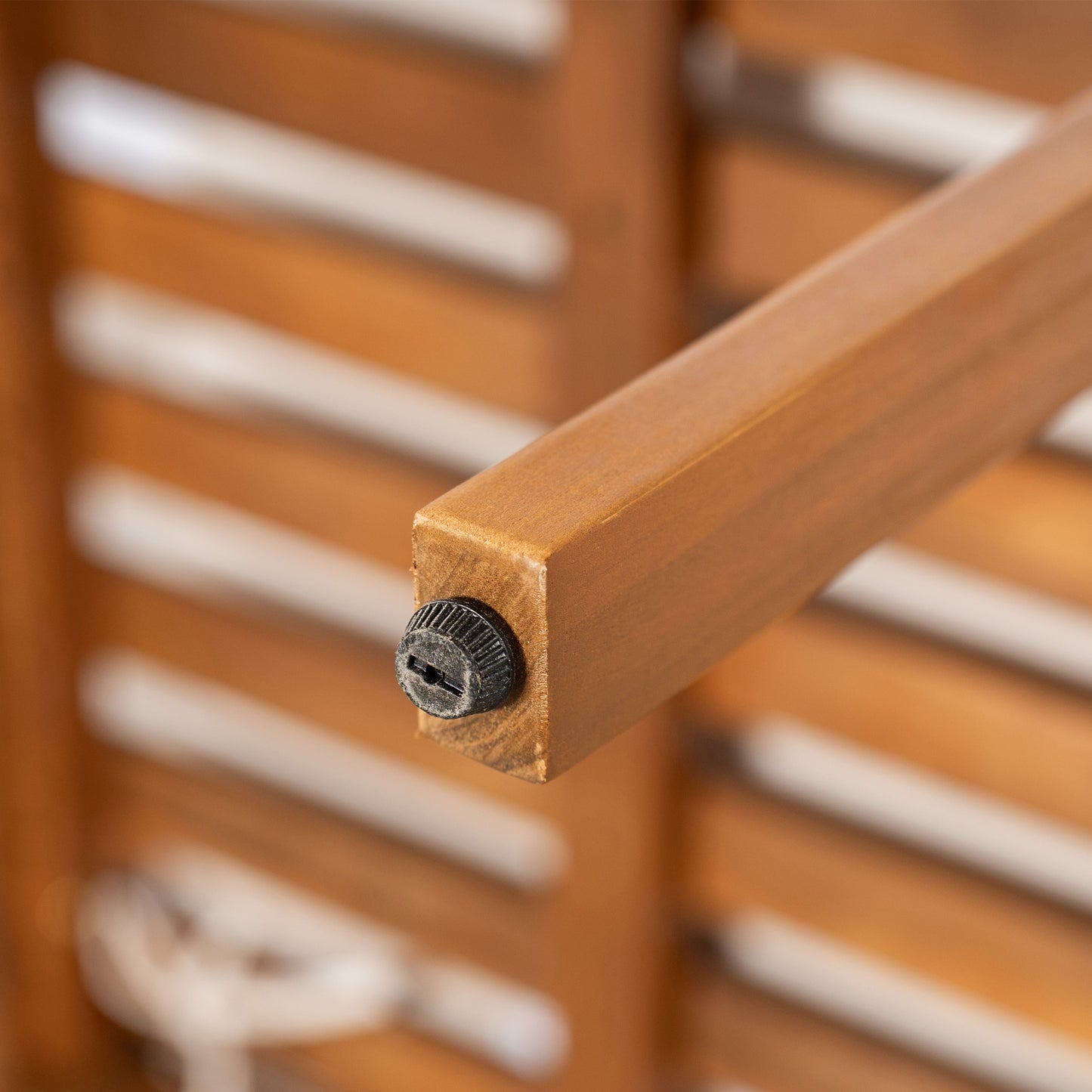 Dorianis Acacia Wood Outdoor Dining Chair with Cushion (Set of 2)