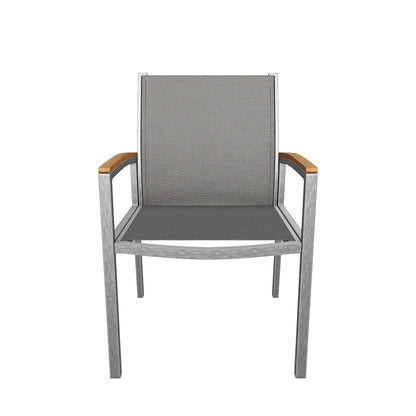 Emma Outdoor Wicker Dining Chair with Aluminum Frame (Set of 2)