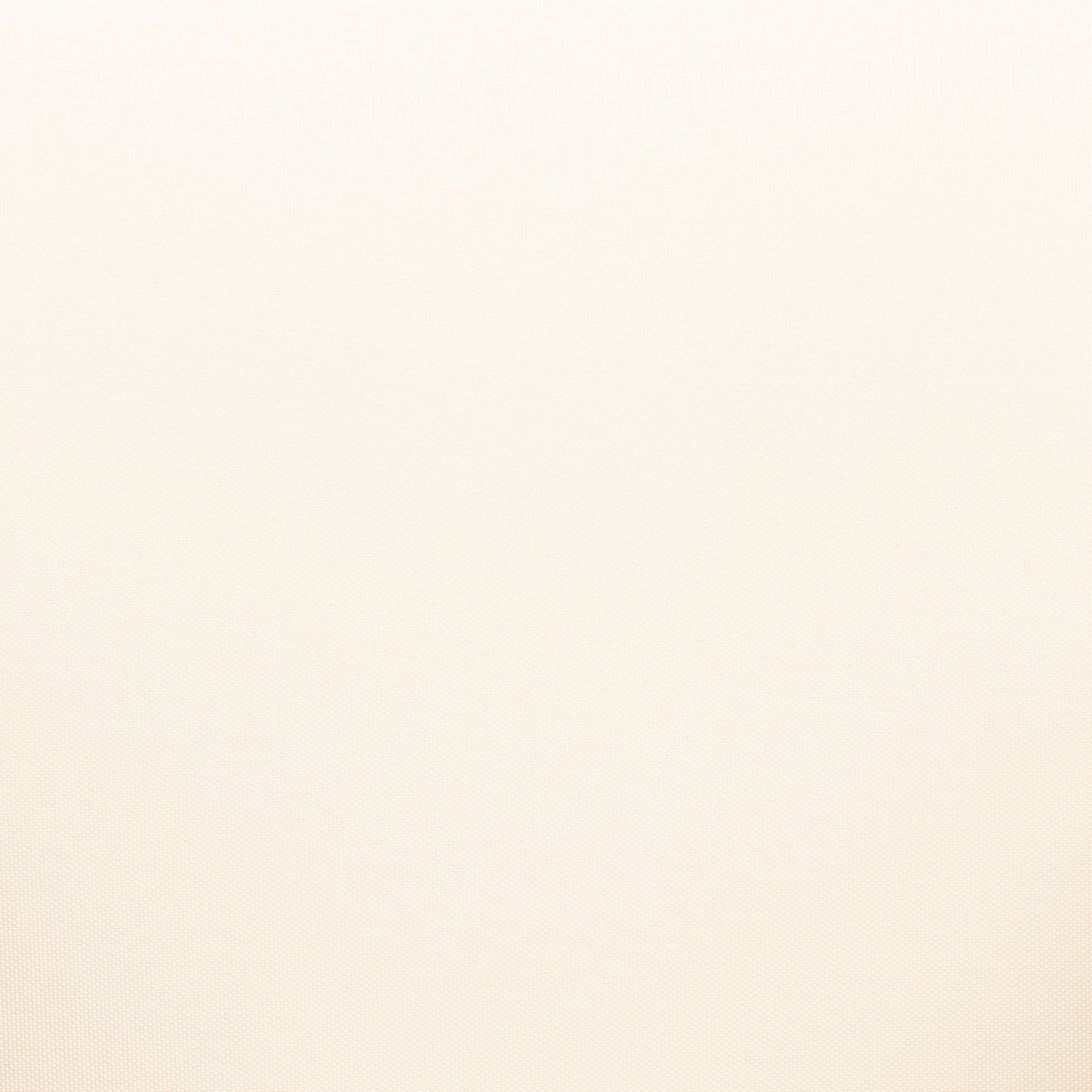 Rabun Outdoor Acacia Wood Club Chairs with Cushions, Set of 2