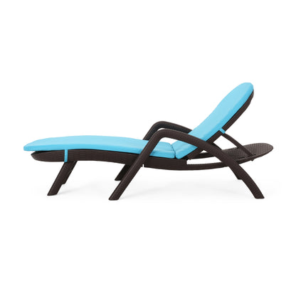 Riley Outdoor Faux Wicker Chaise Lounge with Cushion