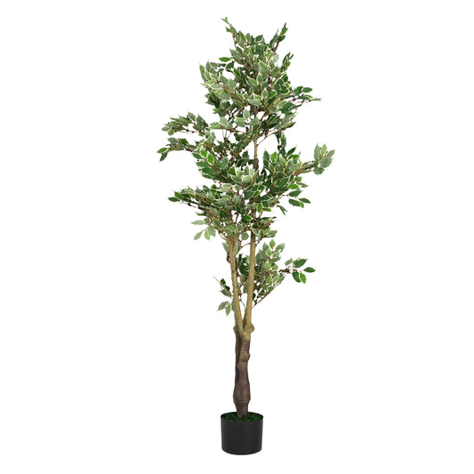Evionn 69" Artificial Ficus Tree with Black Plastic Pot
