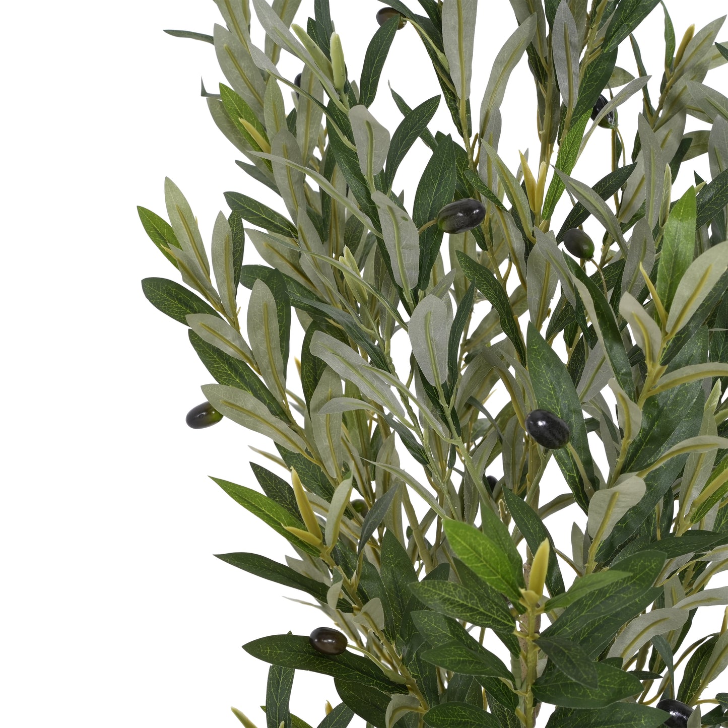 Aevor 6' Artificial Olive Tree with Black Plastic Pot