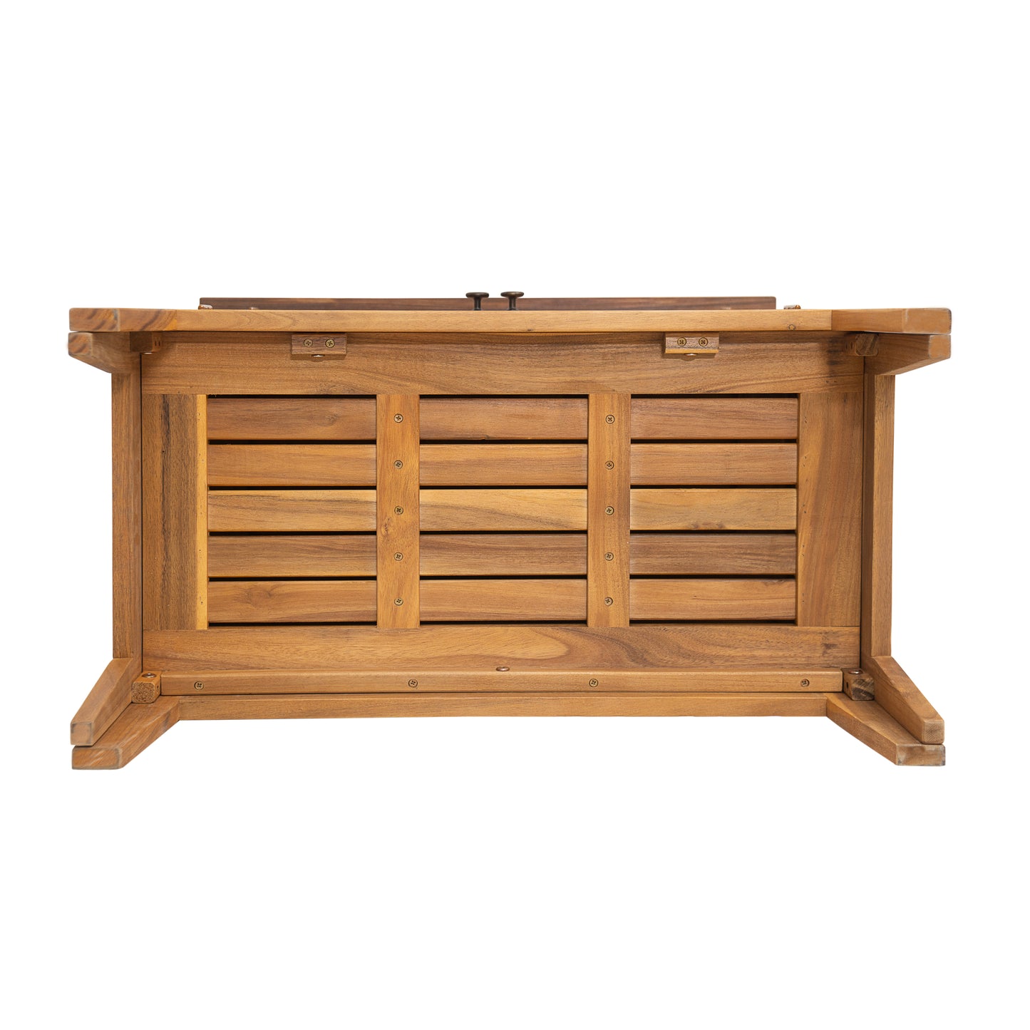 Eirion Outdoor Patio Storage Cabinet, Acacia Wood