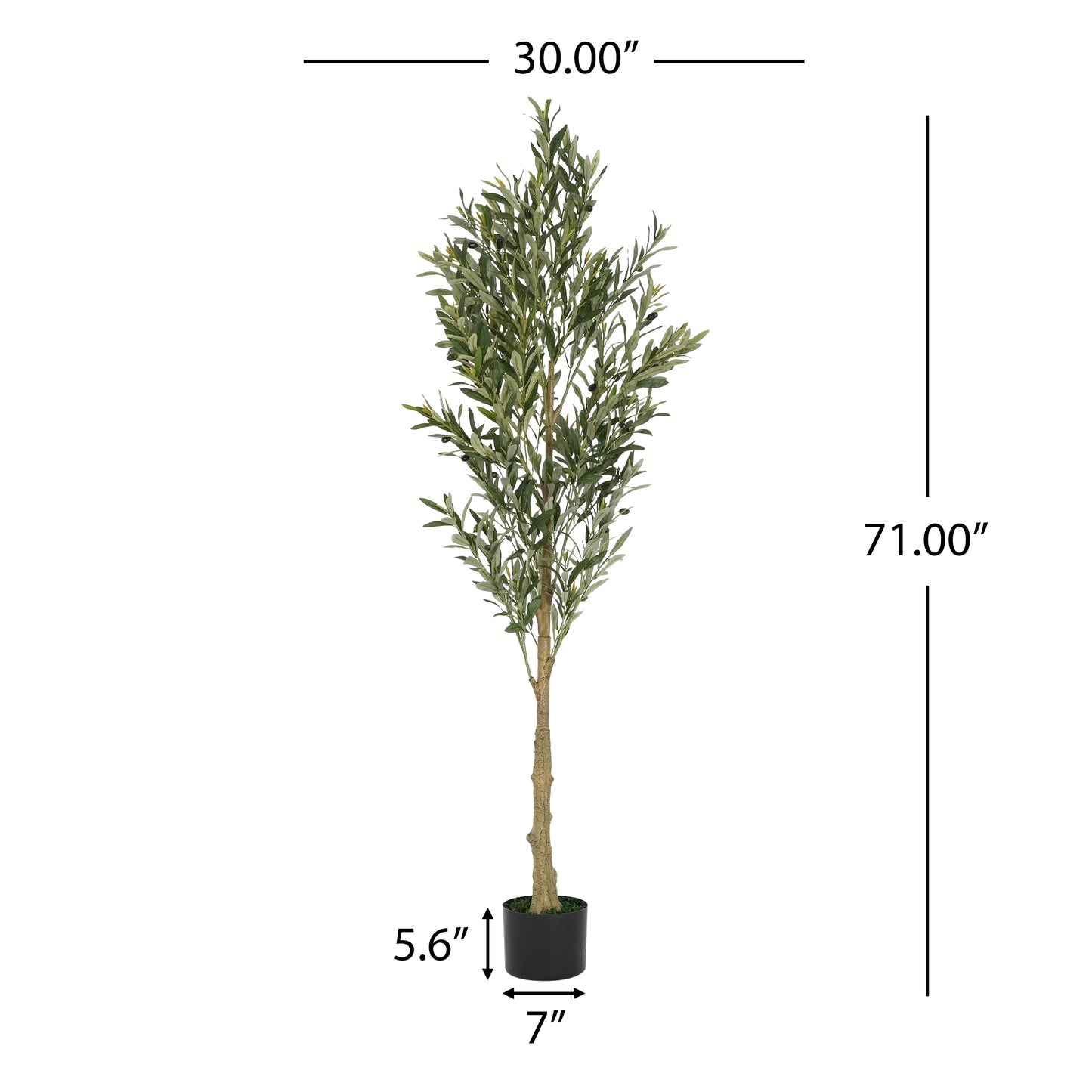 Aevor 6' Artificial Olive Tree with Black Plastic Pot