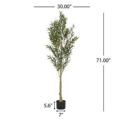 Aevor 6' Artificial Olive Tree with Black Plastic Pot