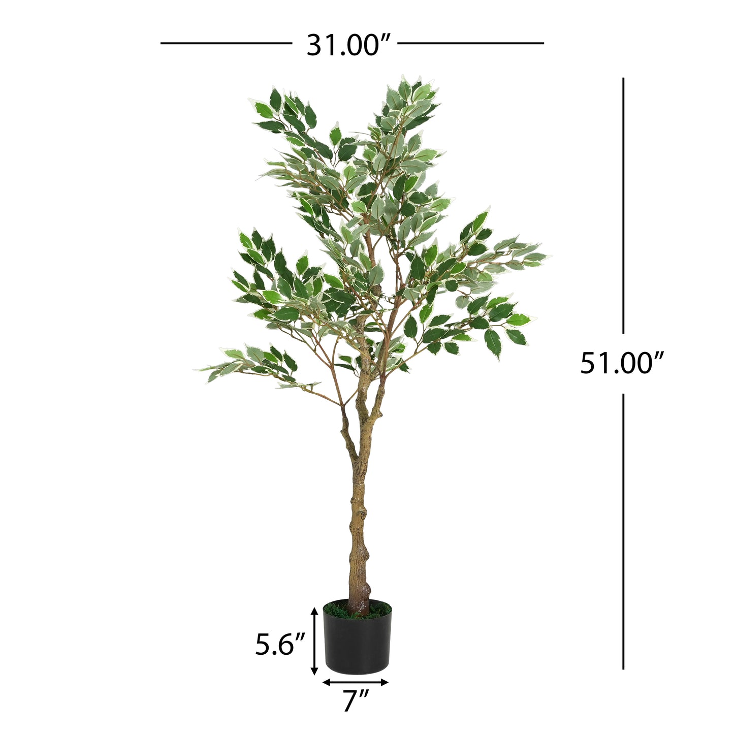 Marcellus 51" Artificial Ficus Tree with Black Plastic Pot