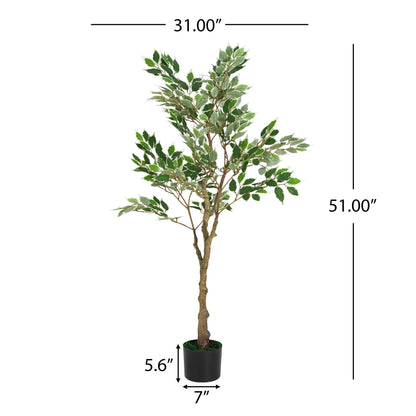 Marcellus 51" Artificial Ficus Tree with Black Plastic Pot
