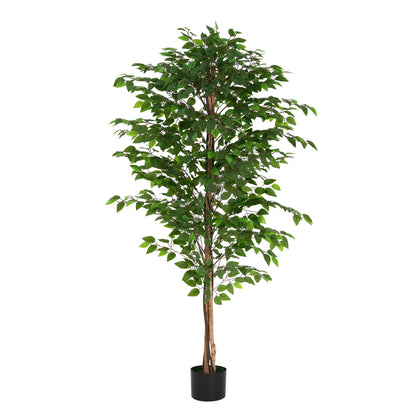 Varian 74" Artificial Ficus Tree with Black Plastic Pot