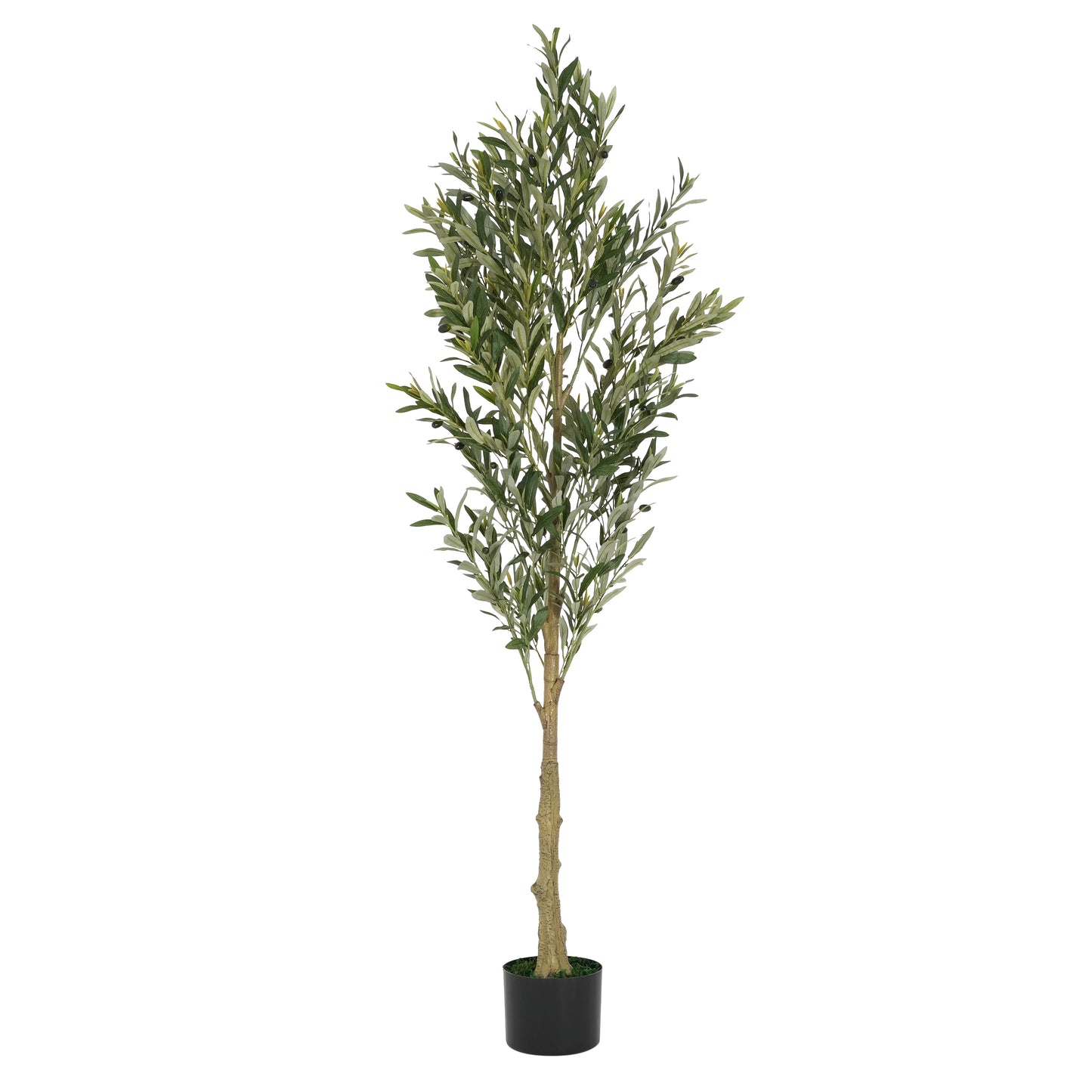 Aevor 6' Artificial Olive Tree with Black Plastic Pot