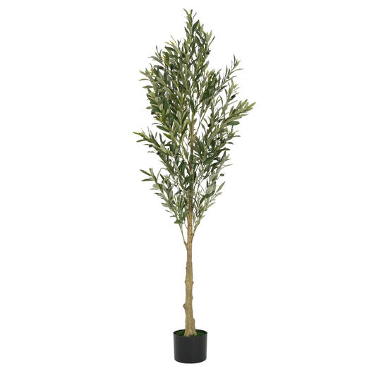 Aevor 6' Artificial Olive Tree with Black Plastic Pot