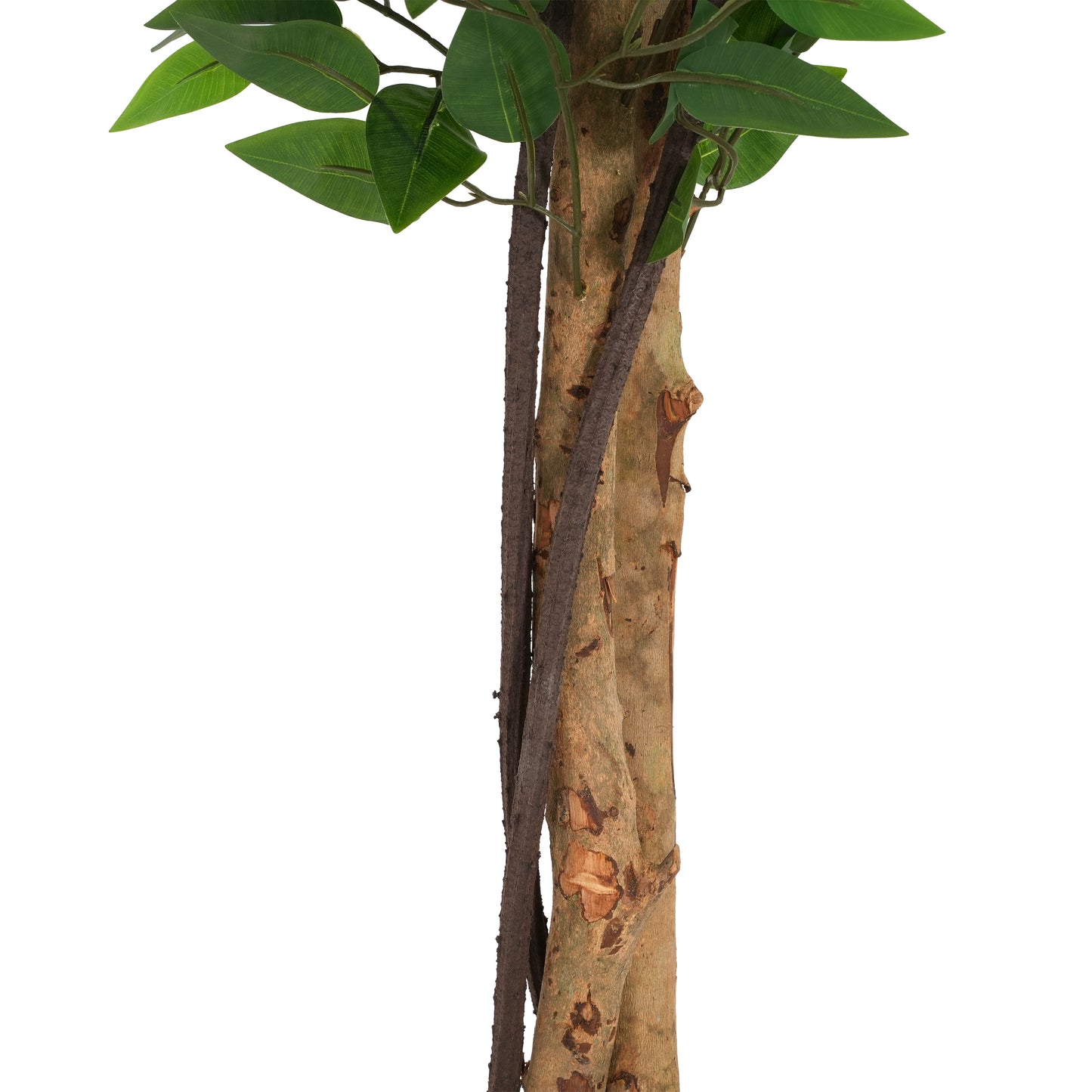 Peregrine 63" Artificial Ficus Tree with Black Plastic Pot