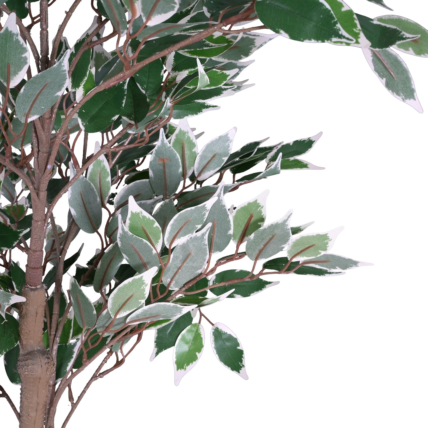 Evionn 69" Artificial Ficus Tree with Black Plastic Pot