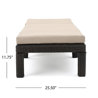 Feronia Outdoor 10 Piece Wicker Patio Set w/ Water Resistant Cushions