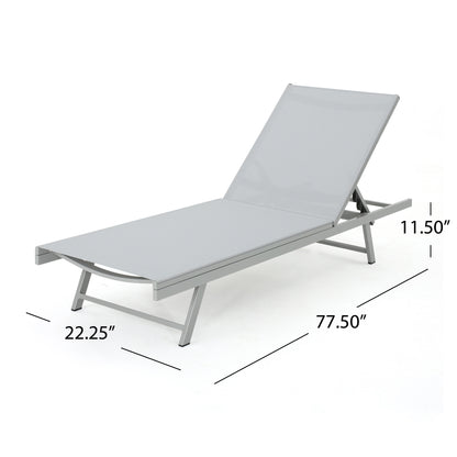 Holm Outdoor Gray Mesh Chaise Lounge with Aluminum Frame