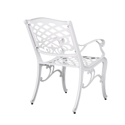 Tsa Outdoor Cast Aluminum Arm Chair (Set of 2)