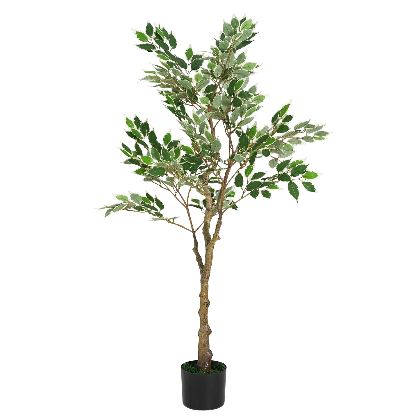 Marcellus 51" Artificial Ficus Tree with Black Plastic Pot
