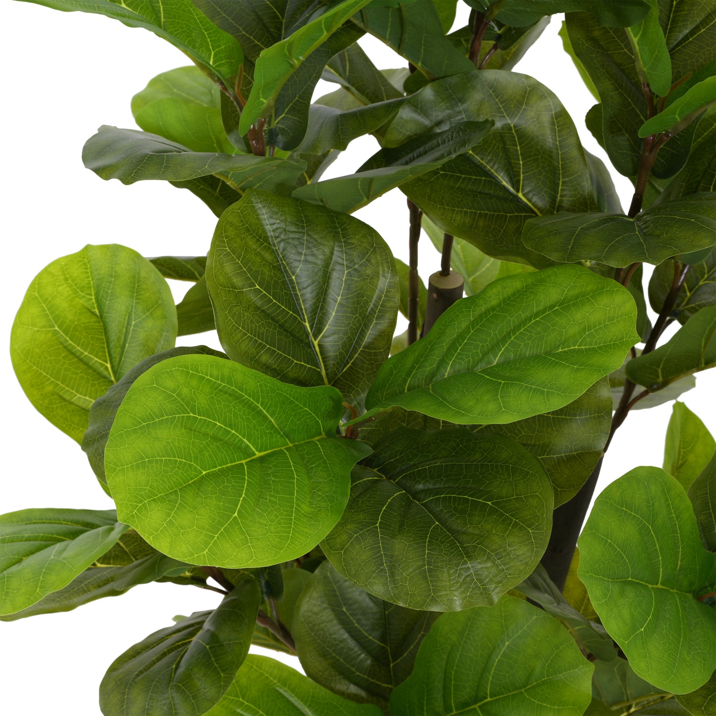 Halvard 51" Artificial Fiddle Leaf Fig Tree with Black Plastic Pot