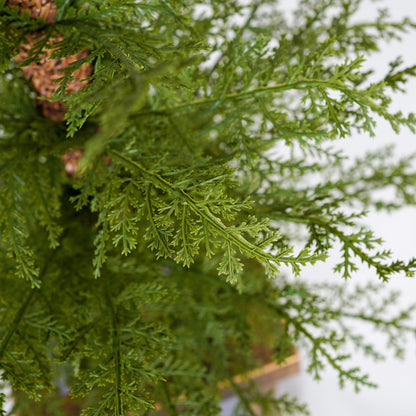 Dorian 4ft Pre-Lit Artificial Christmas 2-Piece with high-quality PE material,Set Easy Assembly,Potted stand