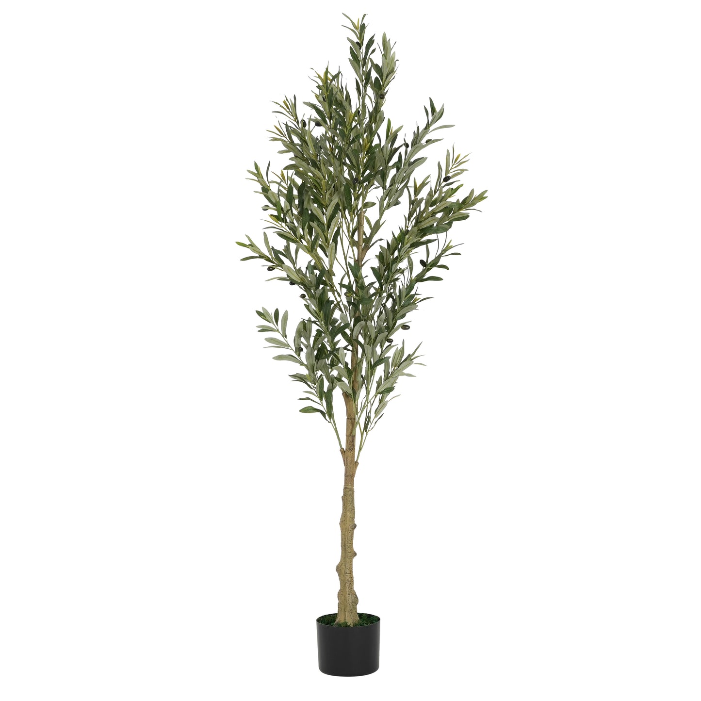 Aevor 6' Artificial Olive Tree with Black Plastic Pot