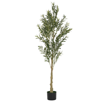 Aevor 6' Artificial Olive Tree with Black Plastic Pot