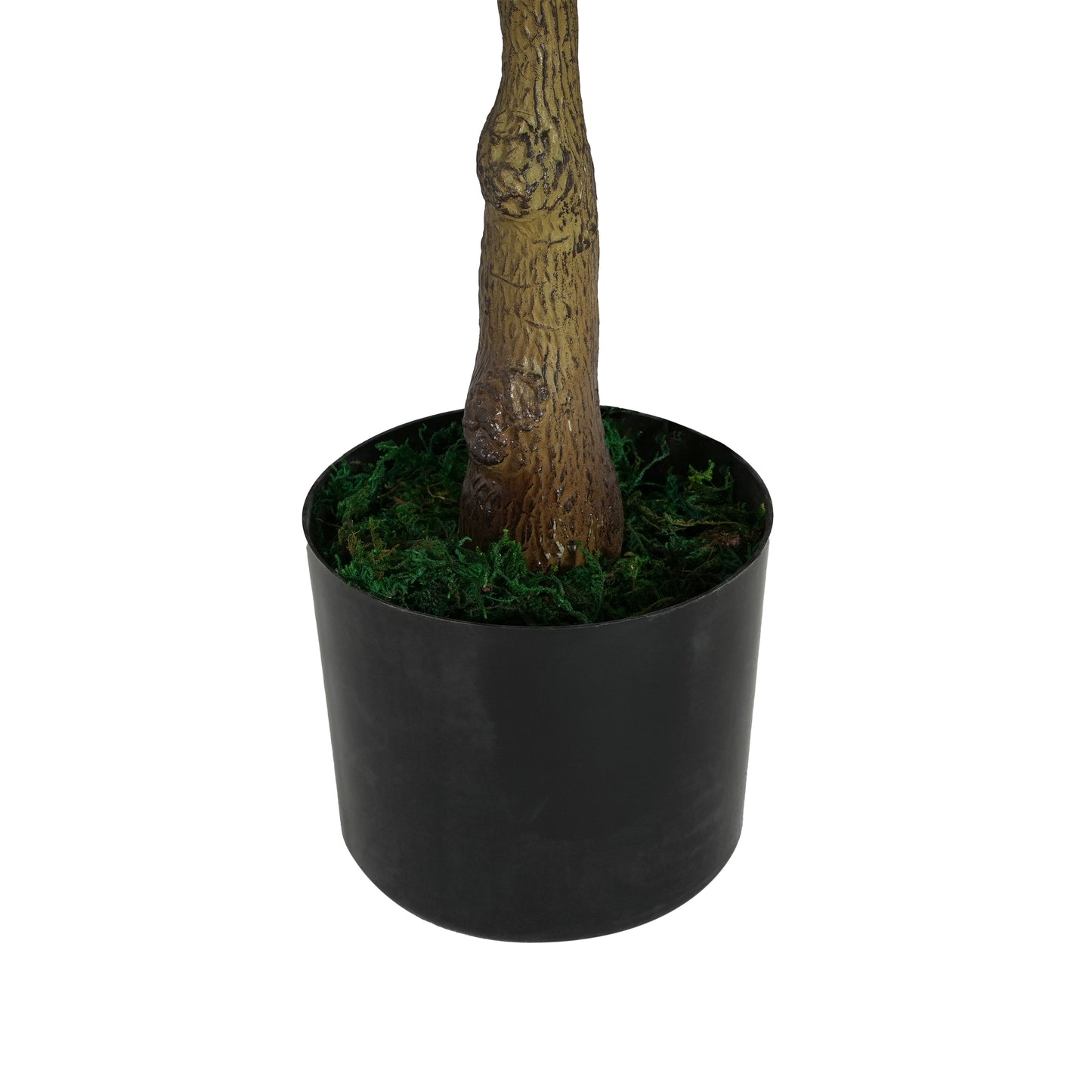 Marcellus 51" Artificial Ficus Tree with Black Plastic Pot
