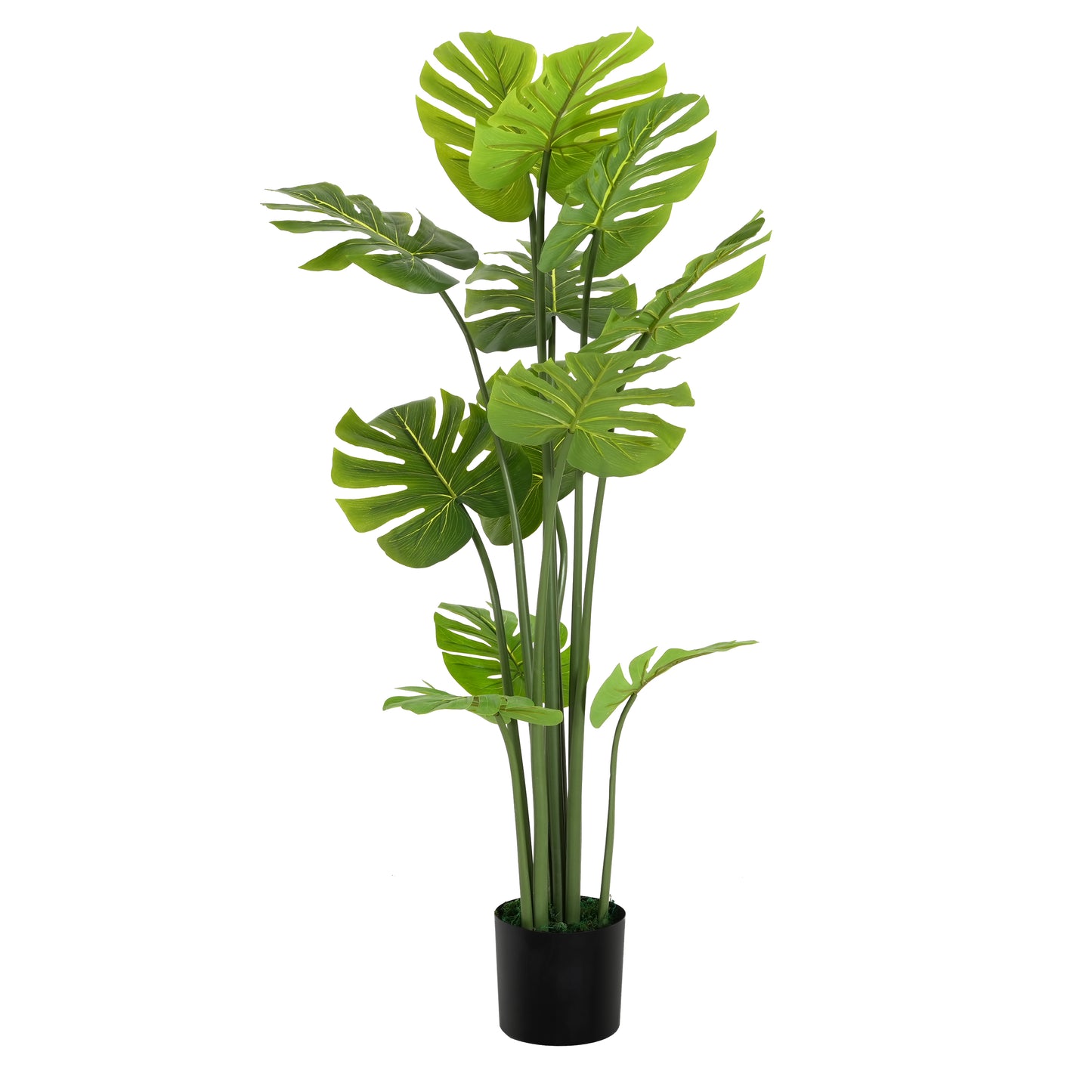 Rhaevor 57" Artificial Monstera Deliciosa Plant with Black Plastic Pot