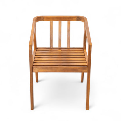 Dorianis Acacia Wood Outdoor Dining Chair with Cushion (Set of 2)