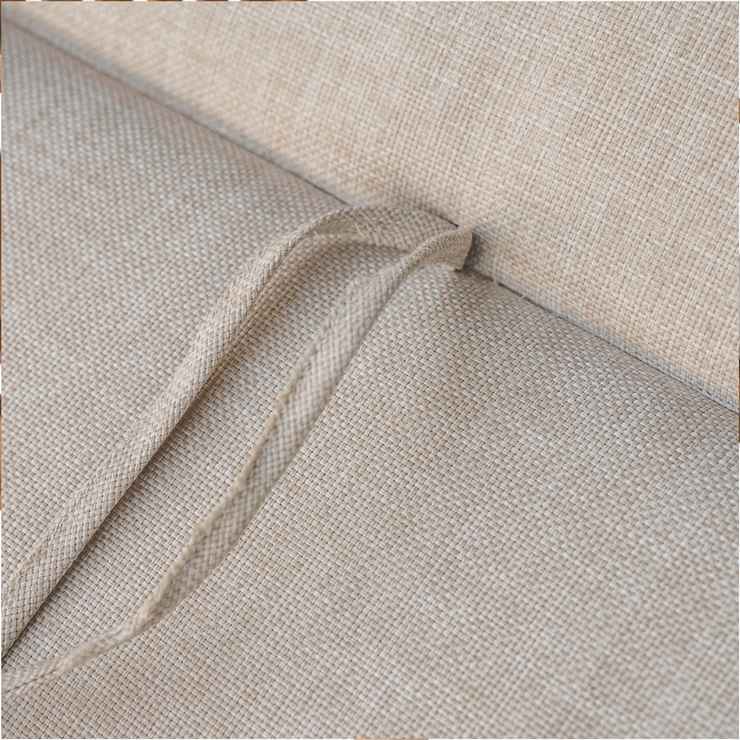 Mejana Dining Chair With Cushion, Set of 2