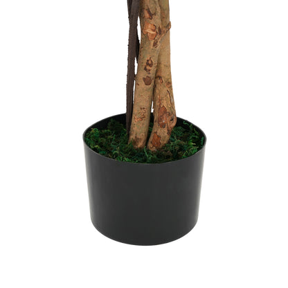 Peregrine 63" Artificial Ficus Tree with Black Plastic Pot