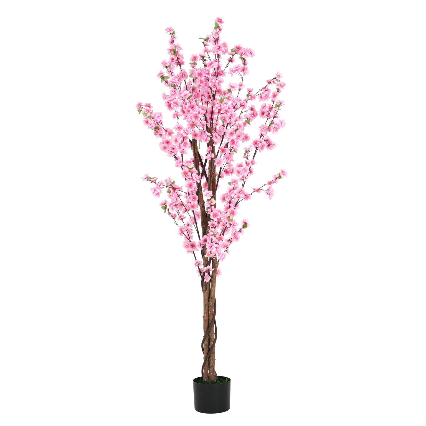 Brynden 6' Artificial Peach Blossom Tree with Black Plastic Pot