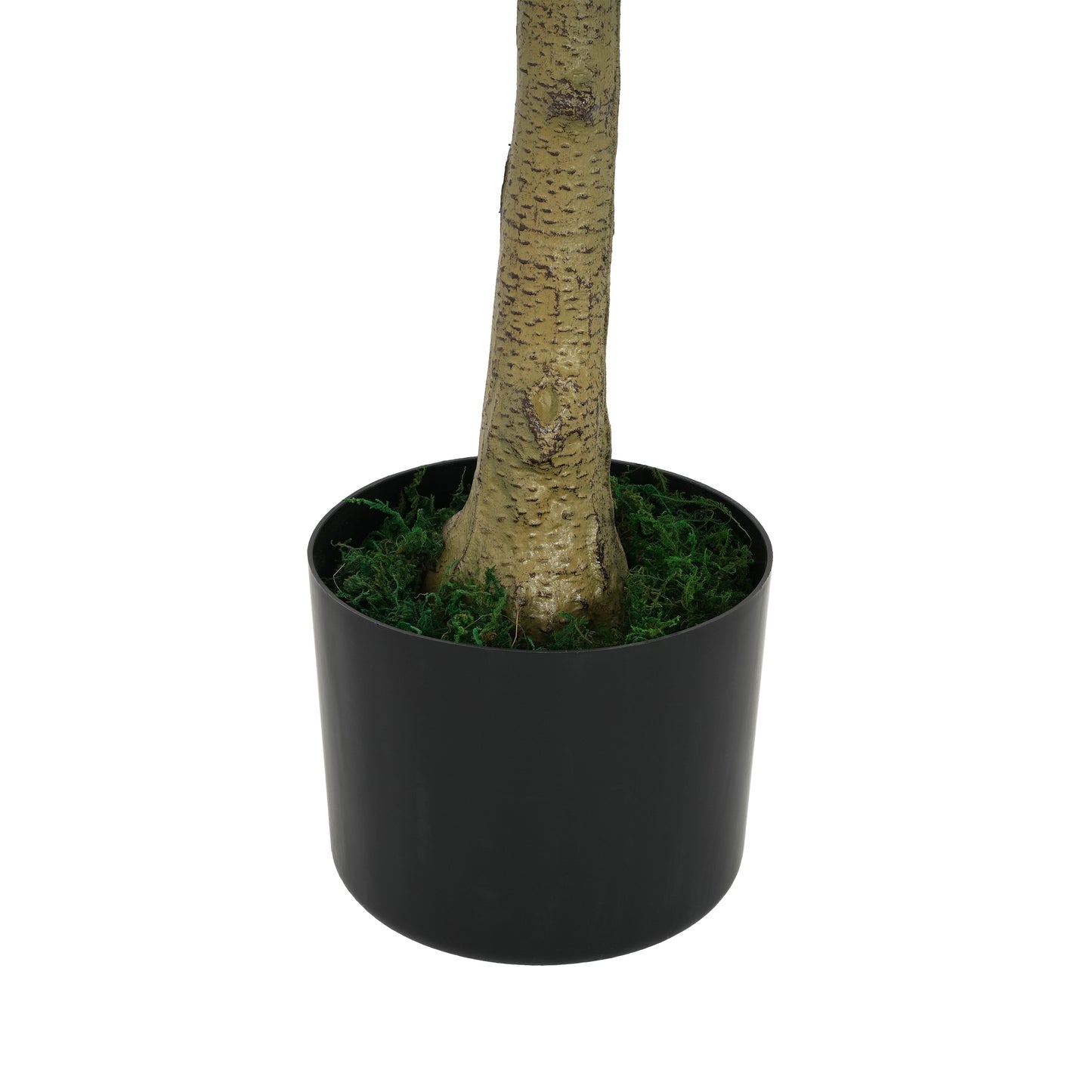 Aevor 6' Artificial Olive Tree with Black Plastic Pot