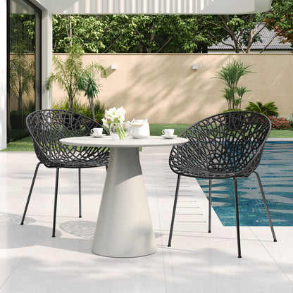 Dahliae Outdoor Patio Dining Chairs, Iron & Plastic, Set of 2