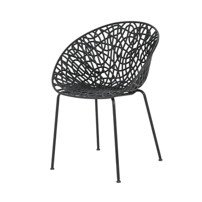 Dahliae Outdoor Patio Dining Chairs, Iron & Plastic, Set of 2