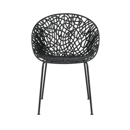Dahliae Outdoor Patio Dining Chairs, Iron & Plastic, Set of 2