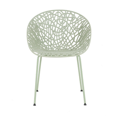 Dahliae Outdoor Patio Dining Chairs, Iron & Plastic, Set of 2