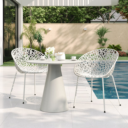 Dahliae Outdoor Patio Dining Chairs, Iron & Plastic, Set of 2
