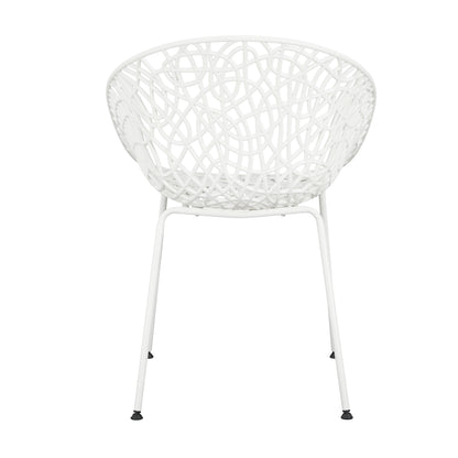 Dahliae Outdoor Patio Dining Chairs, Iron & Plastic, Set of 2