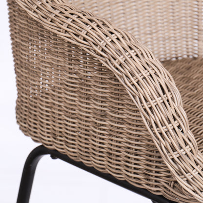 Laddiar Outdoor Metal Wicker Barstool, Faux Wicker, Set of 2