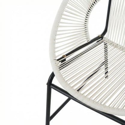 Modesty Outdoor Modern Faux Rattan Club Chair (Set of 2)