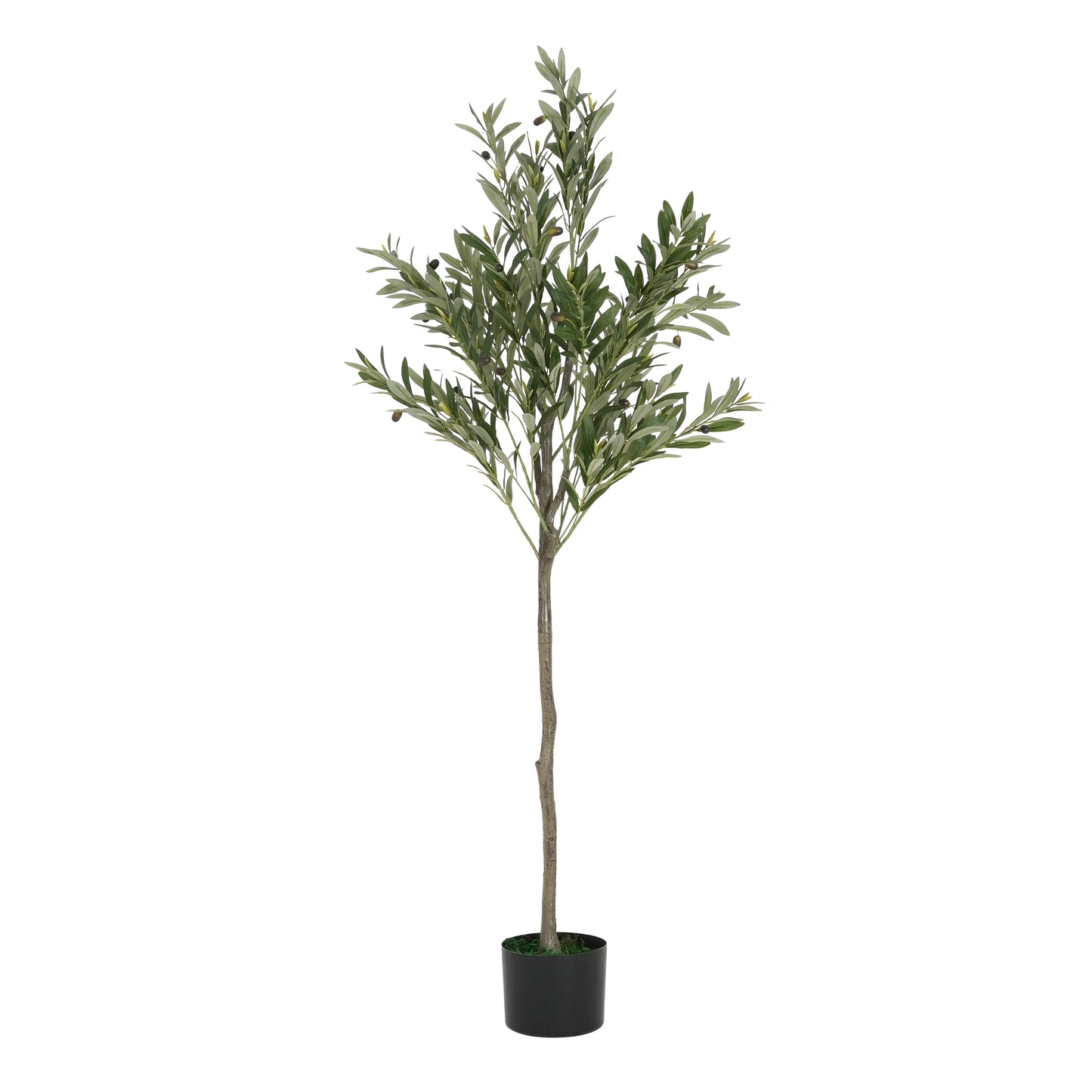 Sylvar 66" Artificial Olive Tree with Black Plastic Pot