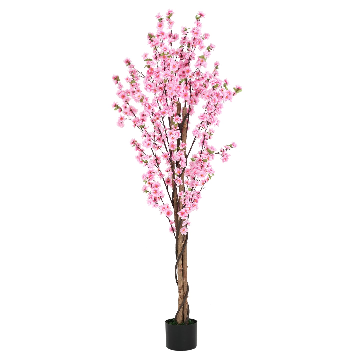 Brynden 6' Artificial Peach Blossom Tree with Black Plastic Pot