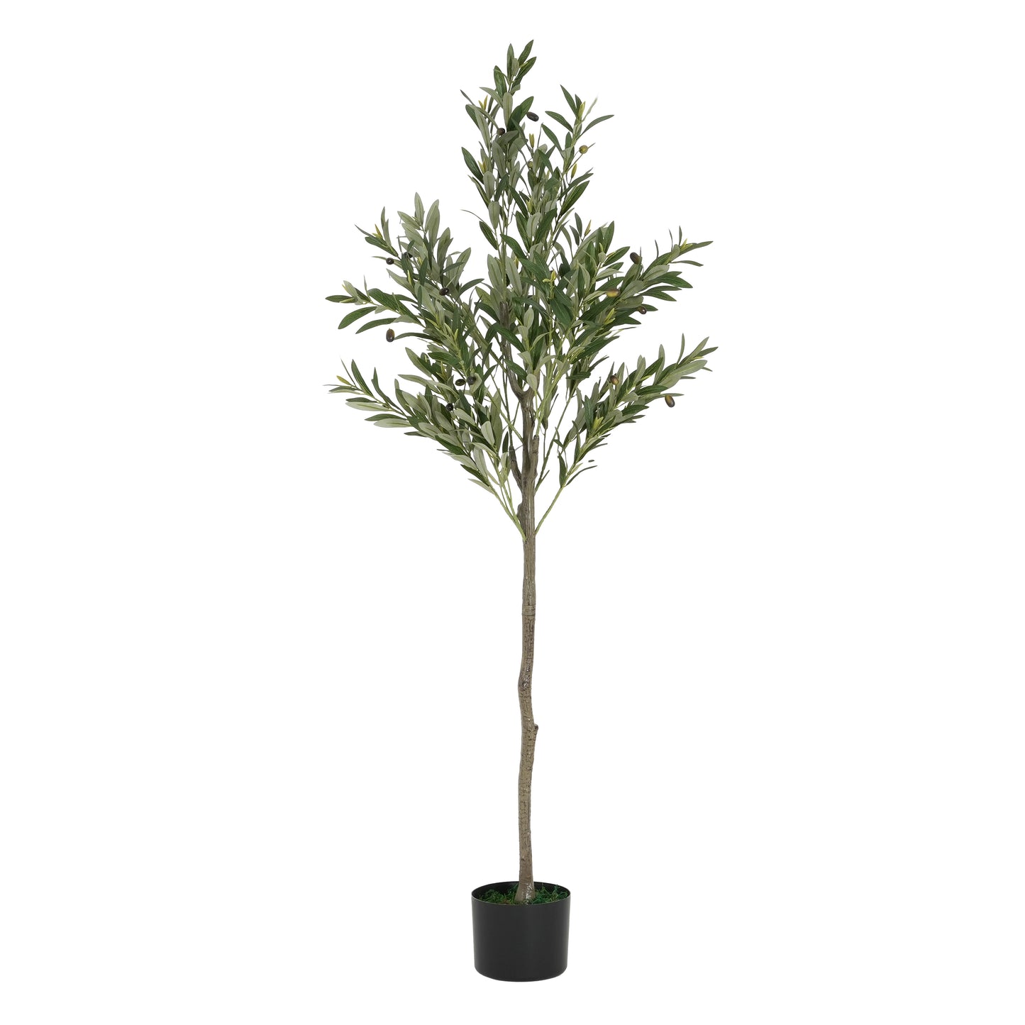 Sylvar 66" Artificial Olive Tree with Black Plastic Pot