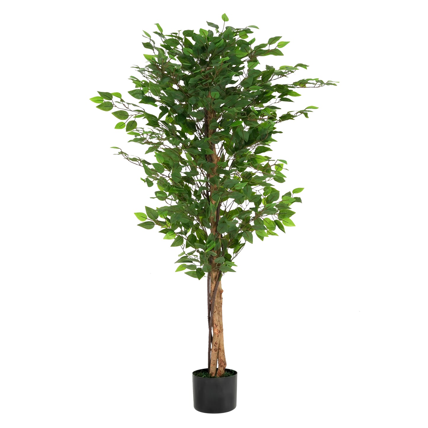 Peregrine 63" Artificial Ficus Tree with Black Plastic Pot