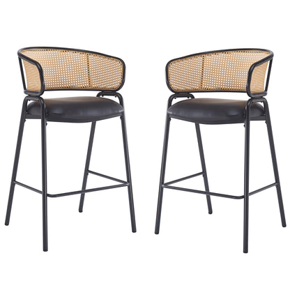 Eathan Indoor Metal PU Leather Barstool, Wowen Rattan Backrest, Set of 2