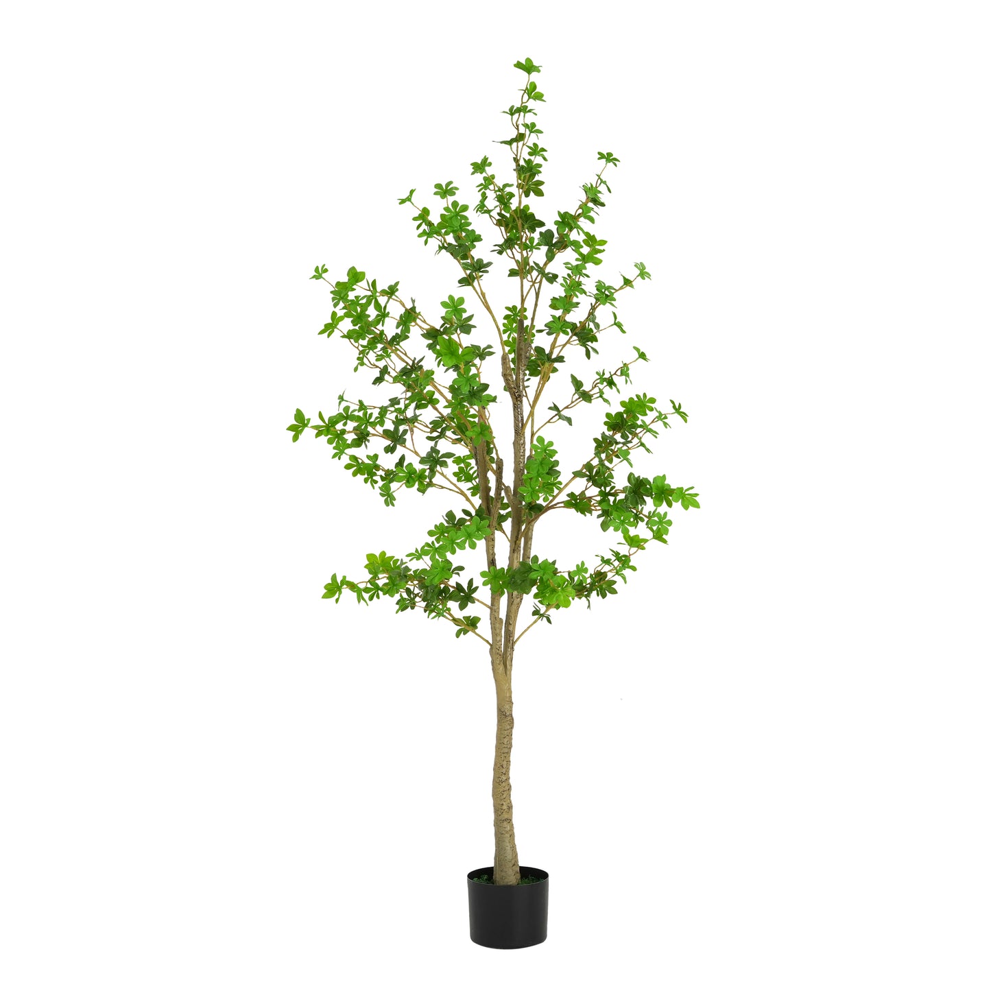 Kyrion 76" Artificial Enkianthus Tree with Black Plastic Pot