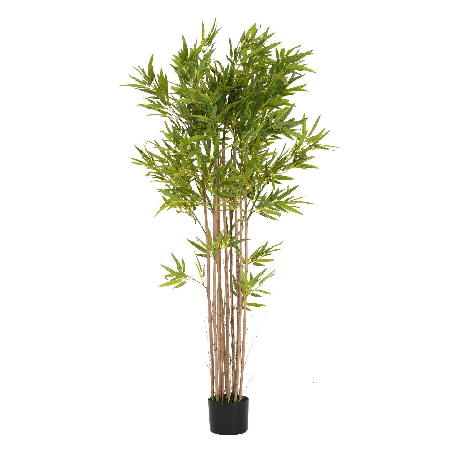 Emelric 70" Artificial Bamboo with Black Plastic Pot