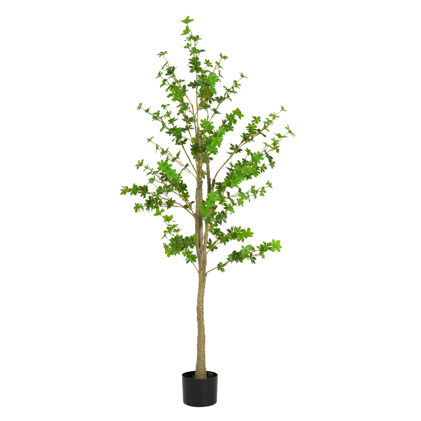 Kyrion 76" Artificial Enkianthus Tree with Black Plastic Pot