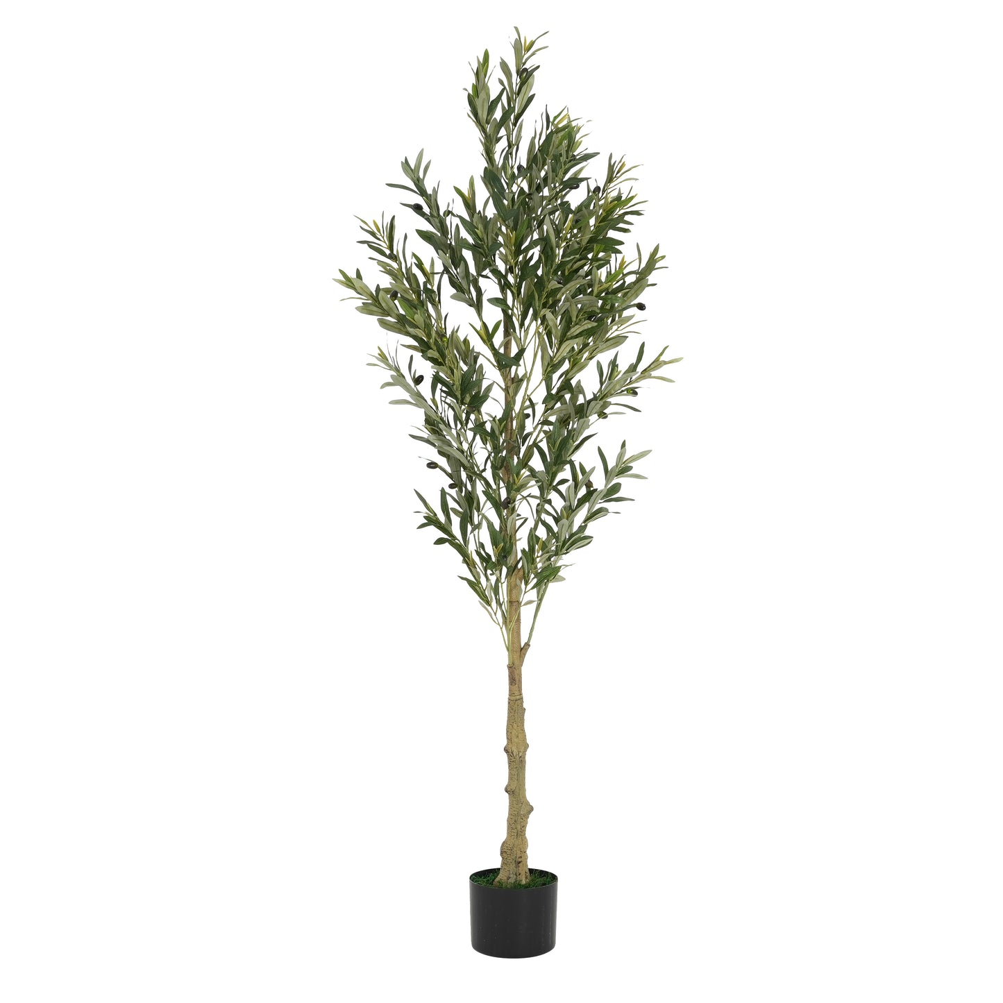 Aevor 6' Artificial Olive Tree with Black Plastic Pot