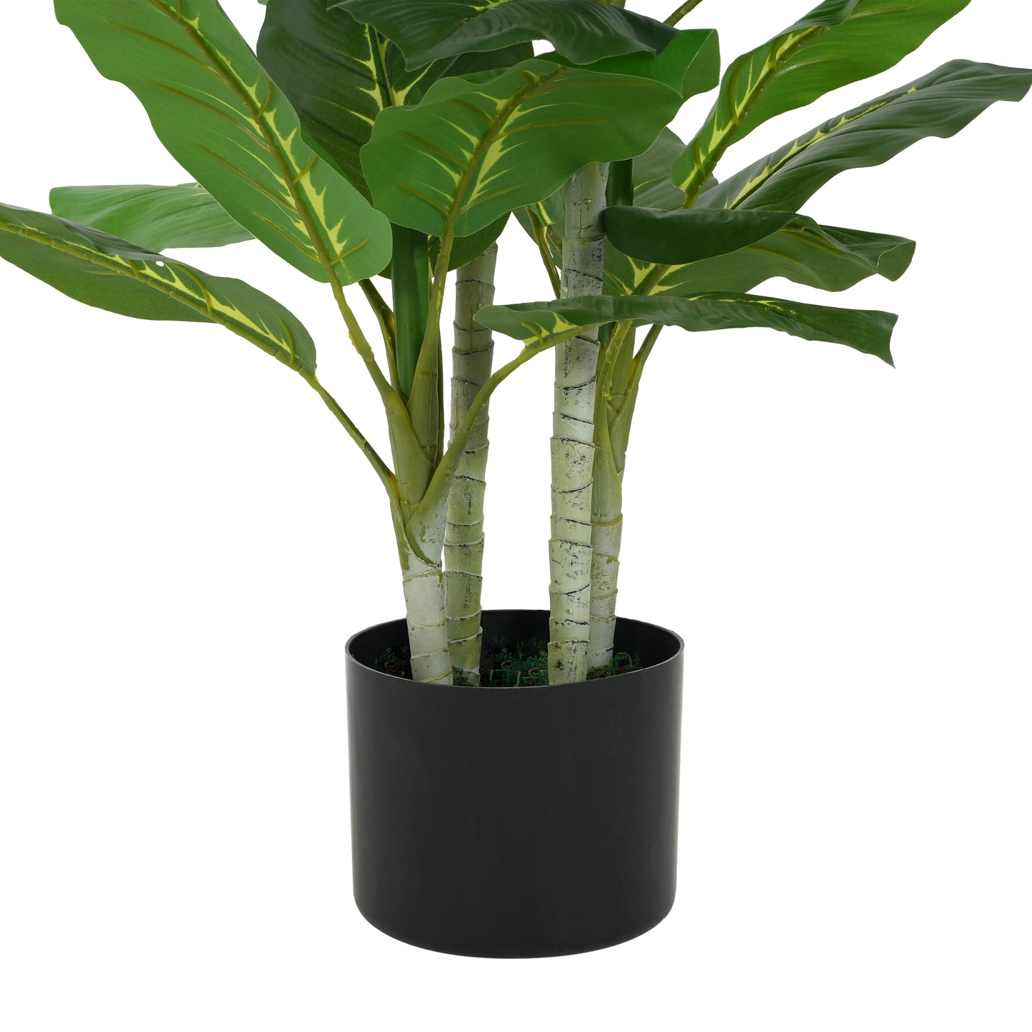 Dastan 42" Artificial Dieffenbachia Plant with Black Plastic Pot