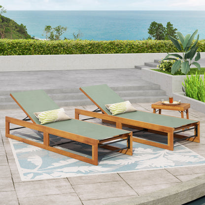 Leavitt Outdoor Mesh and Wood Adjustable Chaise Lounges, Set of 2